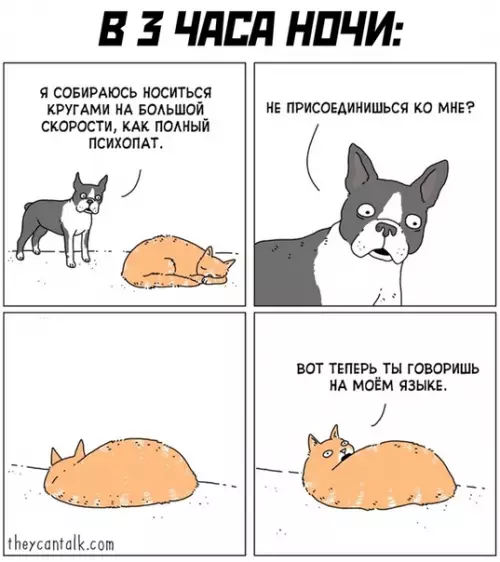 Смешная картинка №509158