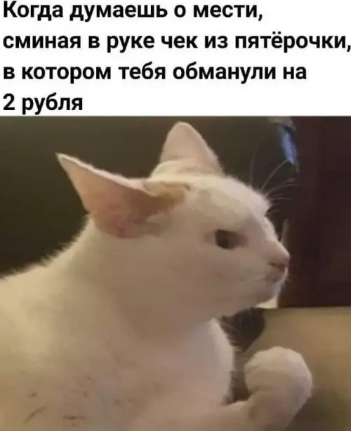 Месть за 2 рубля 😼🔥 - Когда думаешь о мести, сминая в руке чек из пятерочки,