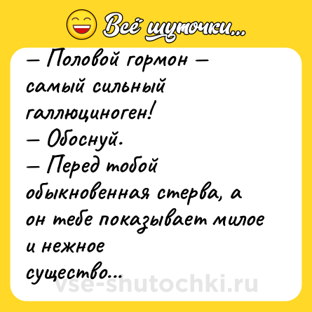 Шутка: — Половой гормон — самый сильный галлюциноген!<br>— Обоснуй.<br>— Перед тобой обыкновенная стерва, а он тебе показывает милое и нежное<br>существо...