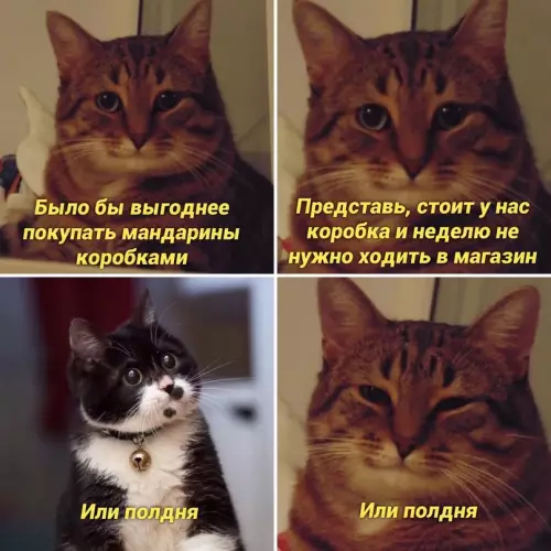 Смешная картинка №669081