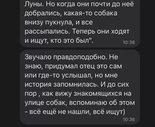 продолжение Смешная картинка №564062 Coбaки нa Лyнe