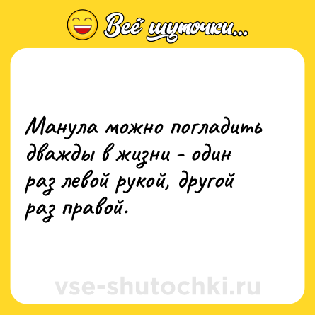 Шутка: Манула можно погладить дважды в жизни - один раз левой рукой, другой раз правой.