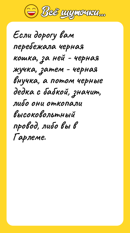 Если дорогу вам перебежала черная кошка, за ней - черная