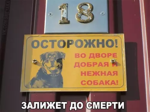 Смешная картинка №208074