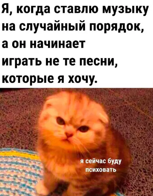 Смешная картинка №721882