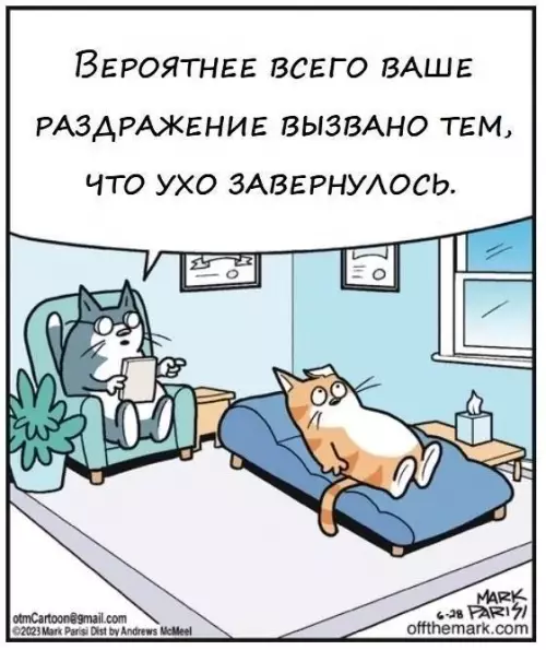 Смешная картинка №696188 Коты 
