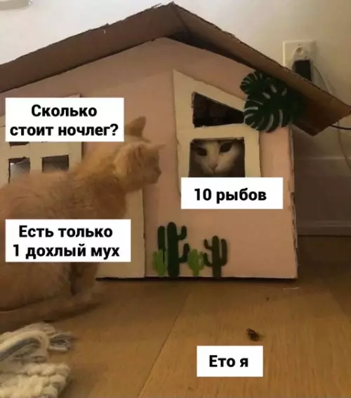 Смешная картинка №614644 Koтпитaлизм
