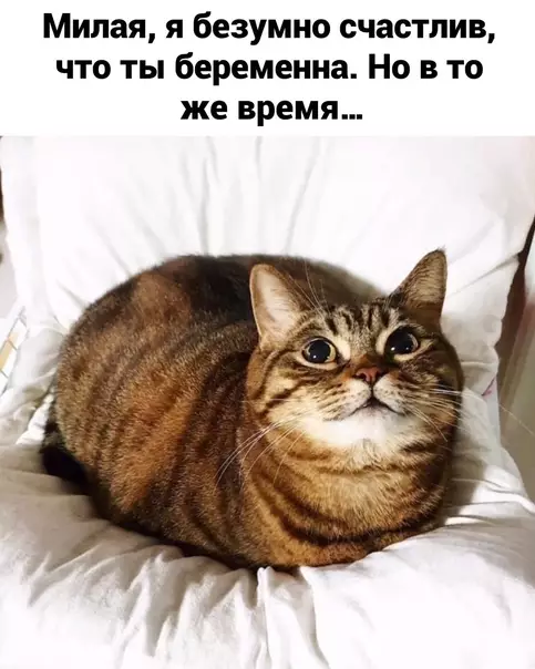 Смешная картинка №582040 Так, стоп...