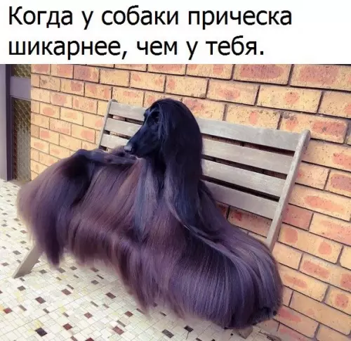Смешная картинка №305937