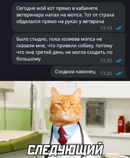 Смешная картинка №679074 Животные