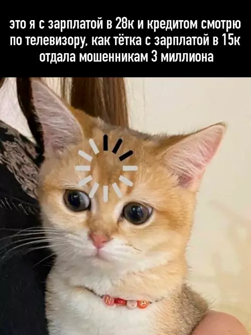 Экономика уровня бог 📉🤡 - это я с зарплатой в 28к и кредитом смотрю по