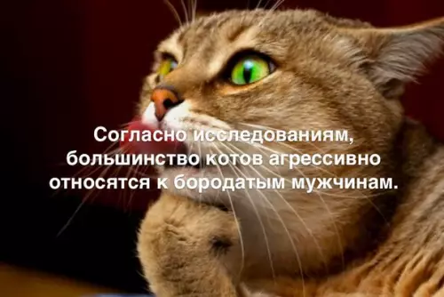 Смешная картинка №182129