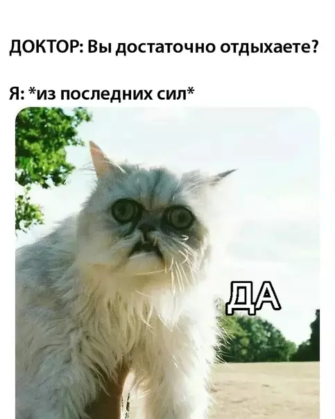 Смешная картинка №314497