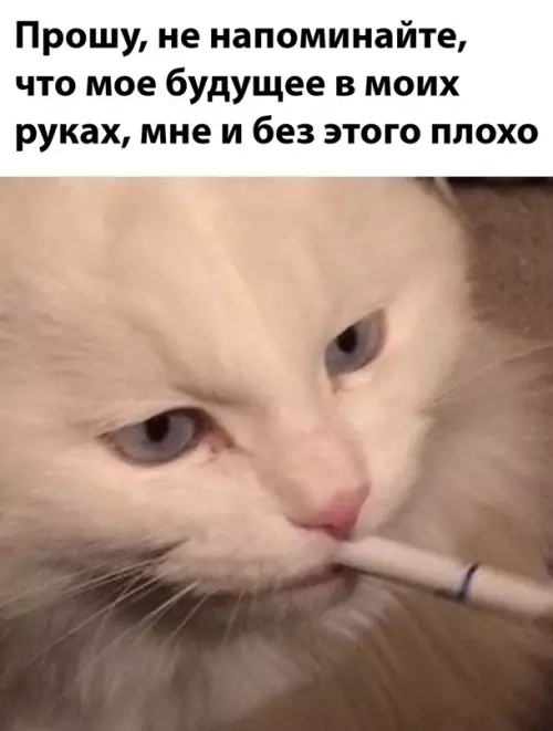 Смешная картинка №640223