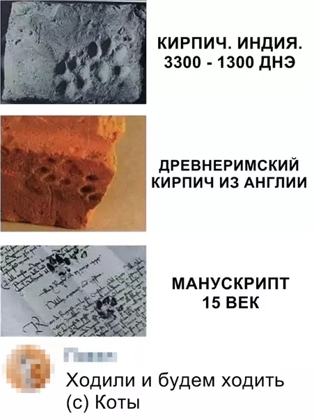 Смешная картинка №349385
