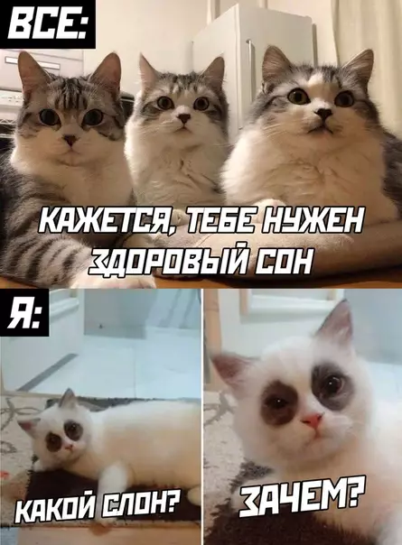 Смешная картинка №495612