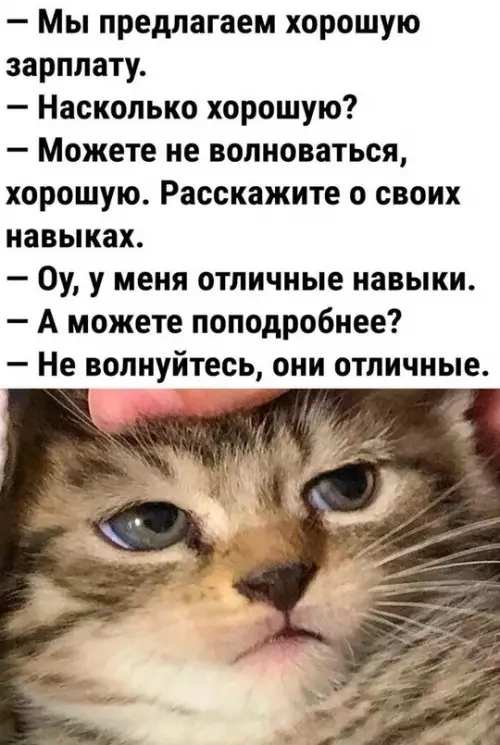 Смешная картинка №736287