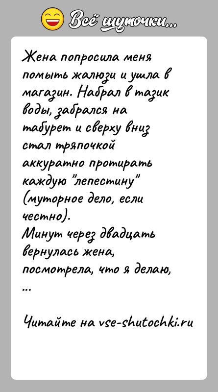 История: Жена попросила меня помыть жалюзи и ушла в магазин. Набрал в тазик воды, забрался на табурет и сверху вниз стал