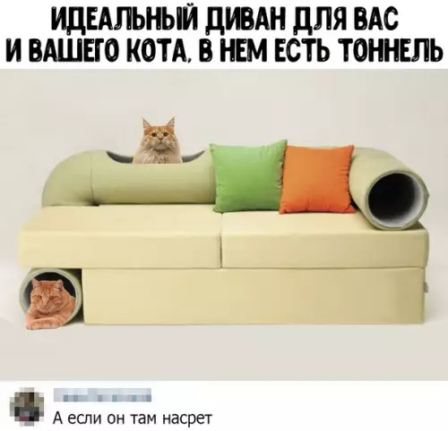 Смешная картинка №456223