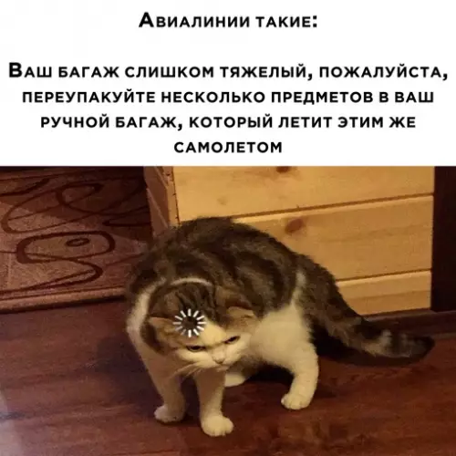Смешная картинка №671277