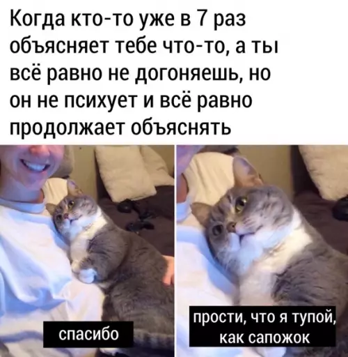 Смешная картинка №541938 Коpoтко обo мнe