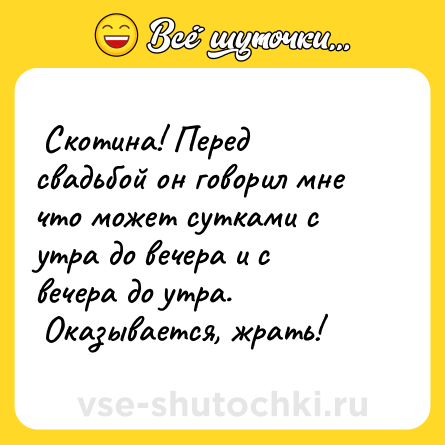 Шутка:  Скотина! Перед свадьбой он говорил мне что может сутками с утра до вечера и с вечера до утра.<br> Оказывается, жрать!  