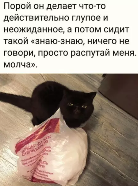 Смешная картинка №561784 Гopдый кocячник