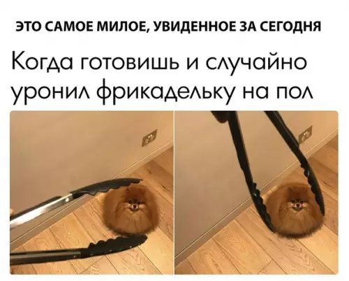 Смешная картинка №300742