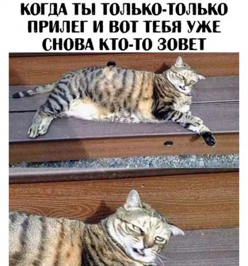 Смешная картинка №258383