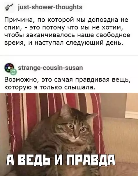 Смешная картинка №438633
