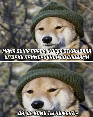 Смешная картинка №639277
