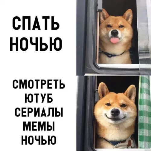 Смешная картинка №297125