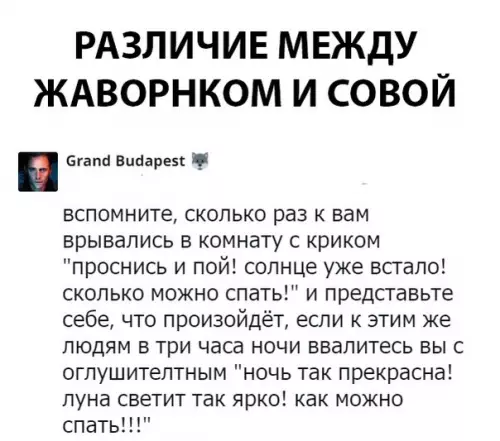 Смешная картинка №289073