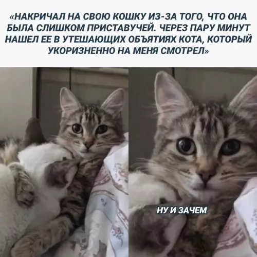 Смешная картинка №680624