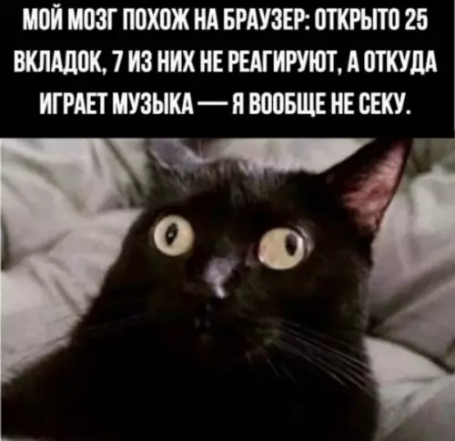 Смешная картинка №654239