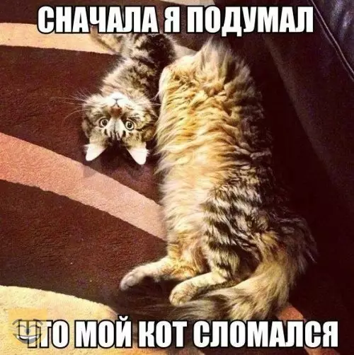 Смешная картинка №388816