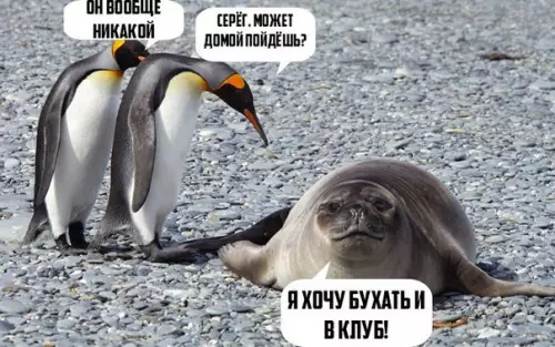Смешная картинка №176673 У всех есть такой друг