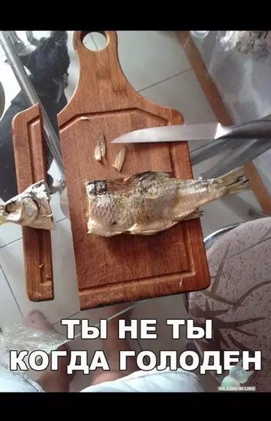 Смешная картинка №362153
