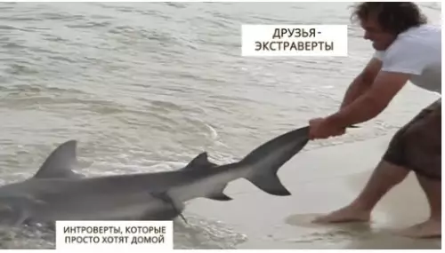Смешная картинка №313636