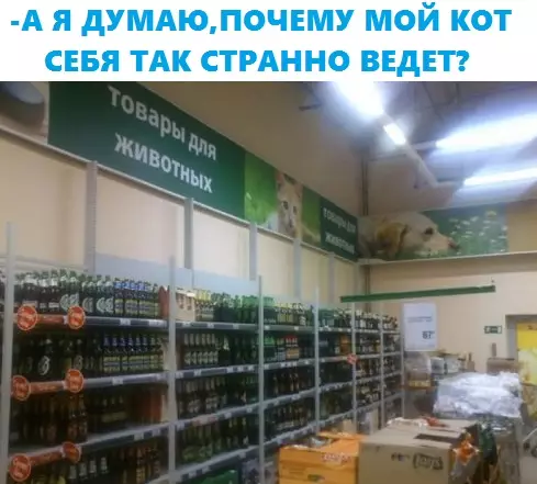 Смешная картинка №287799