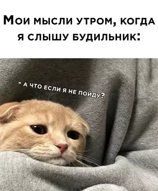 Смешная картинка №637602