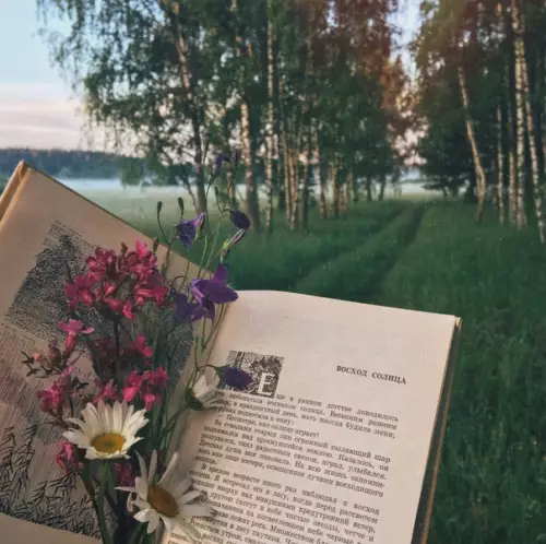 Смешная картинка №253305 — «Просто дайте мне лето»