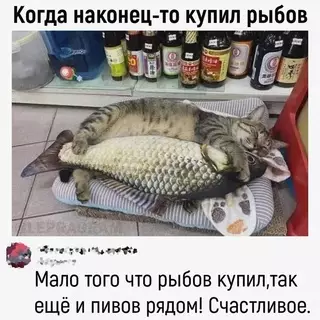 Смешная картинка №703245