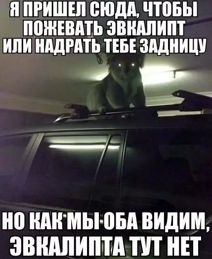 Смешная картинка №379776