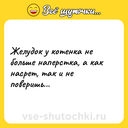 Шутка: Желудок у котенка не больше наперстка, а как насрет, так и не поверишь...
