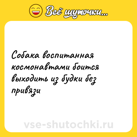 Шутка: Собака воспитанная космонавтами боится выходить из будки без привязи