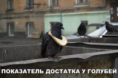 Смешная картинка №294842