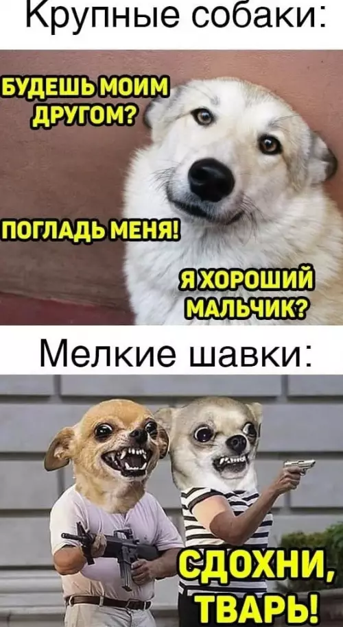 Смешная картинка №634487