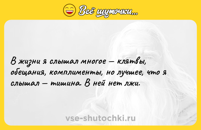 Цитата: В жизни я слышал многое клятвы, обещания, комплименты, но лучшее, что я слышал тишина. В ней нет лжи.