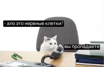 Смешная картинка №760794